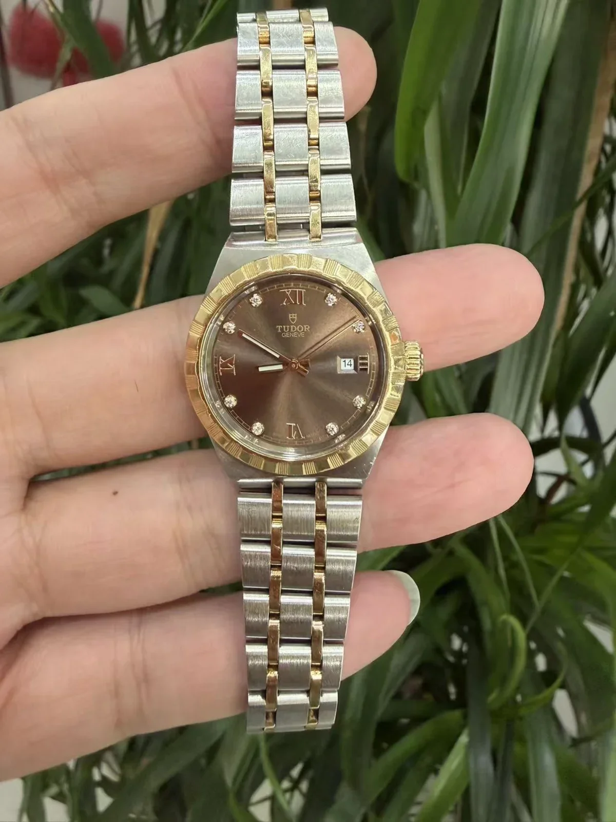 Tudor