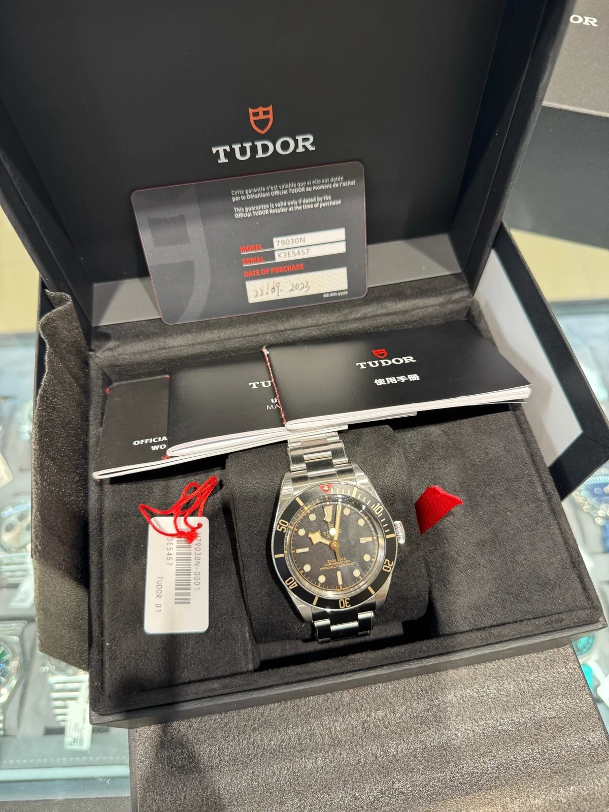 Tudor