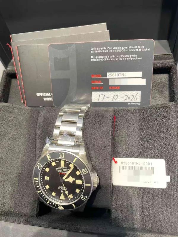 Tudor